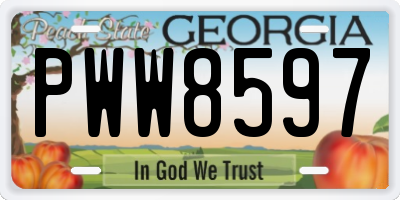 GA license plate PWW8597