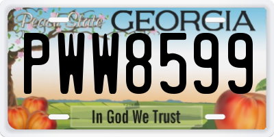 GA license plate PWW8599