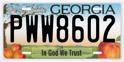GA license plate PWW8602