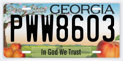 GA license plate PWW8603