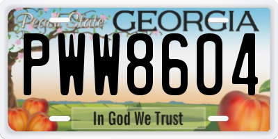 GA license plate PWW8604