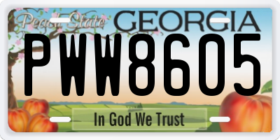 GA license plate PWW8605