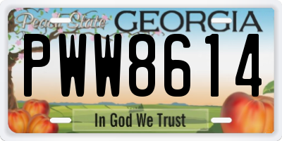 GA license plate PWW8614