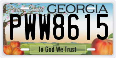 GA license plate PWW8615