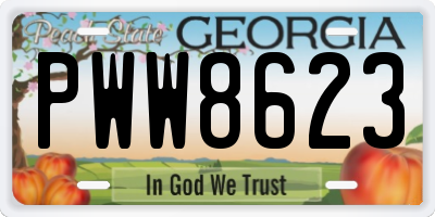 GA license plate PWW8623