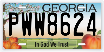 GA license plate PWW8624