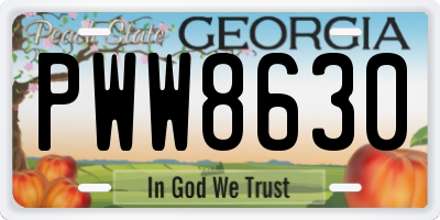 GA license plate PWW8630