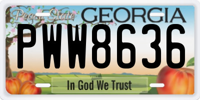 GA license plate PWW8636