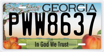 GA license plate PWW8637
