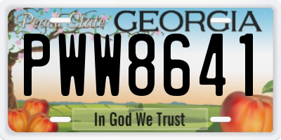 GA license plate PWW8641