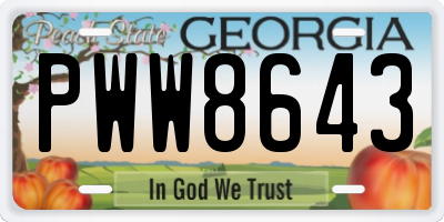 GA license plate PWW8643