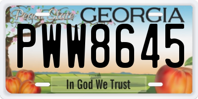 GA license plate PWW8645