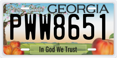 GA license plate PWW8651