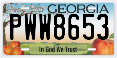 GA license plate PWW8653