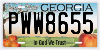 GA license plate PWW8655