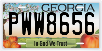 GA license plate PWW8656