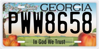 GA license plate PWW8658