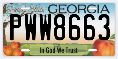 GA license plate PWW8663
