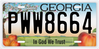 GA license plate PWW8664