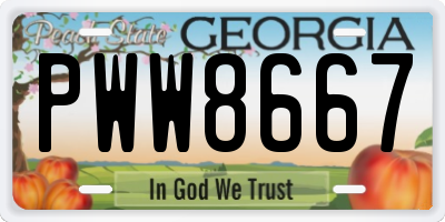 GA license plate PWW8667