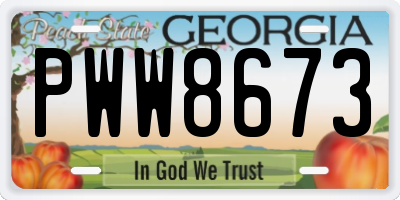 GA license plate PWW8673