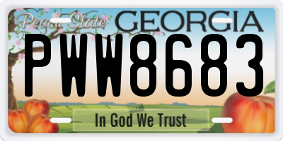 GA license plate PWW8683