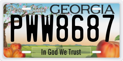GA license plate PWW8687