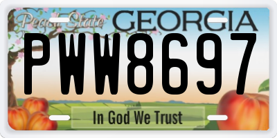 GA license plate PWW8697