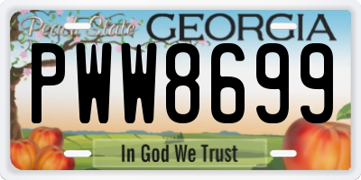 GA license plate PWW8699