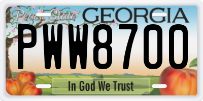 GA license plate PWW8700