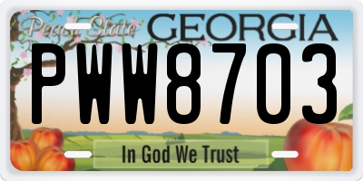 GA license plate PWW8703