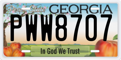 GA license plate PWW8707