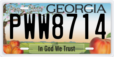 GA license plate PWW8714