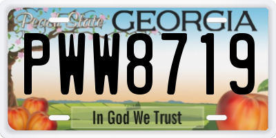 GA license plate PWW8719