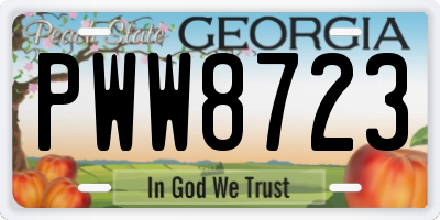 GA license plate PWW8723