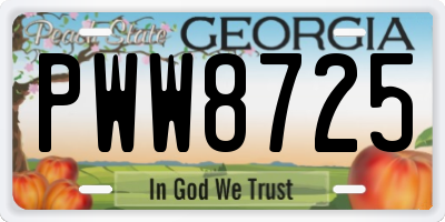 GA license plate PWW8725