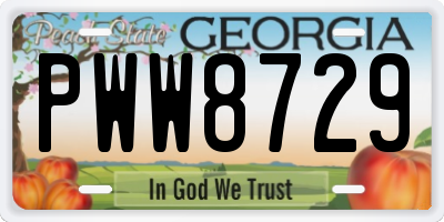 GA license plate PWW8729