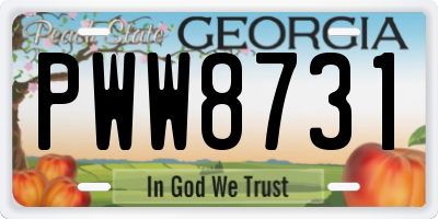 GA license plate PWW8731