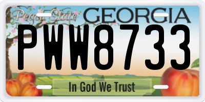 GA license plate PWW8733