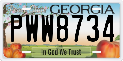 GA license plate PWW8734