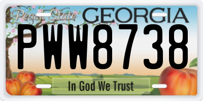 GA license plate PWW8738