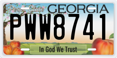 GA license plate PWW8741