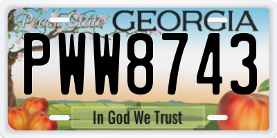 GA license plate PWW8743