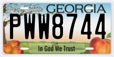 GA license plate PWW8744