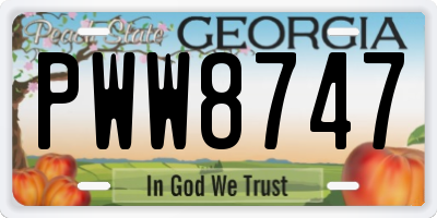 GA license plate PWW8747