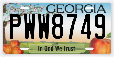 GA license plate PWW8749
