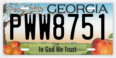 GA license plate PWW8751