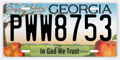 GA license plate PWW8753