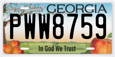 GA license plate PWW8759