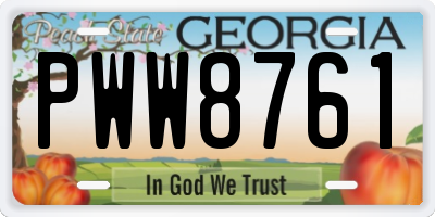 GA license plate PWW8761